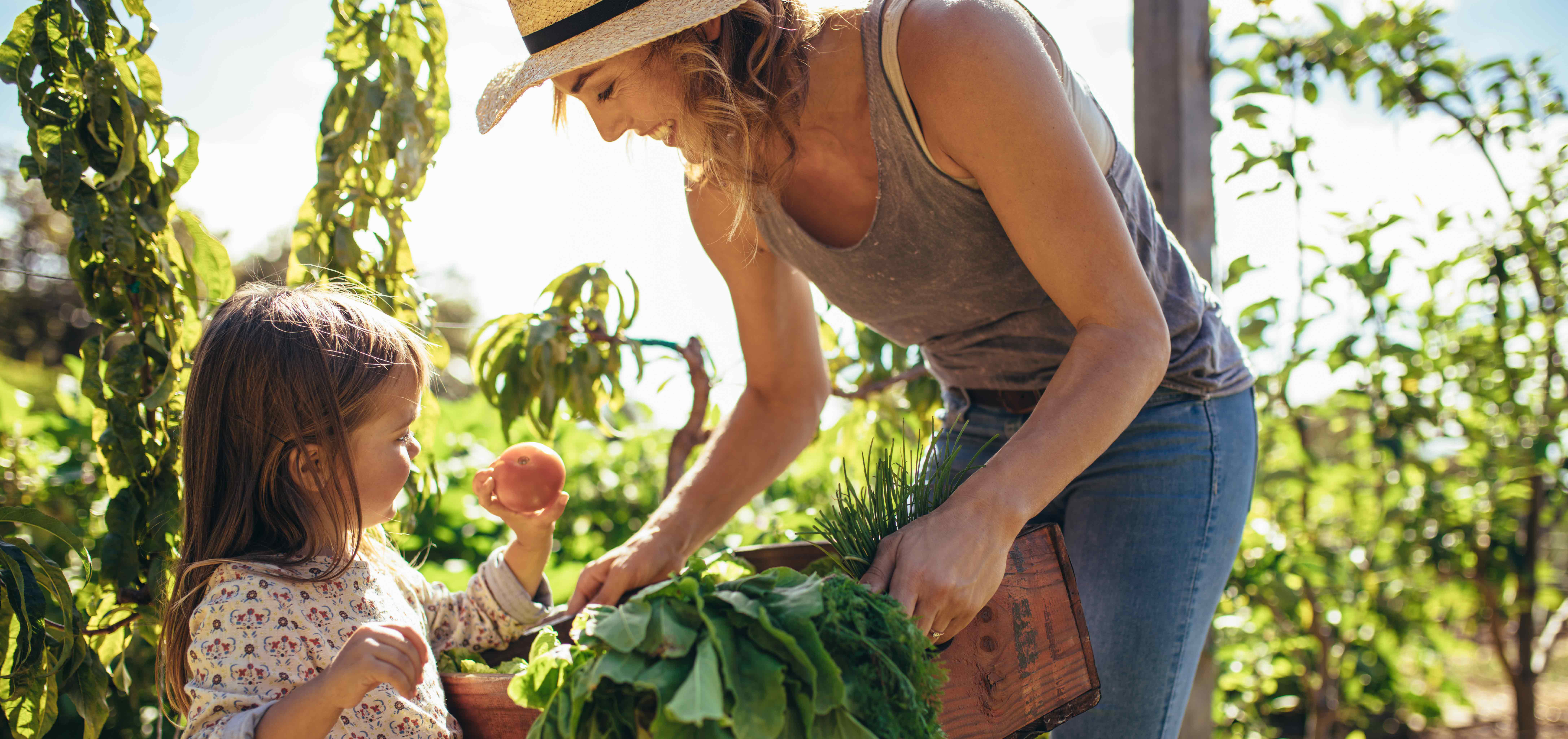 Sustainability in the Kitchen 