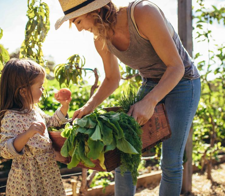 Sustainability in the Kitchen – An Environmentally Conscious Approach to Cooking and Eating