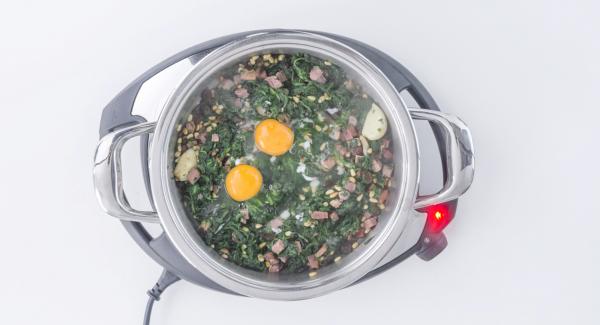 Break 2 eggs over spinach, switch off Navigenio and close.