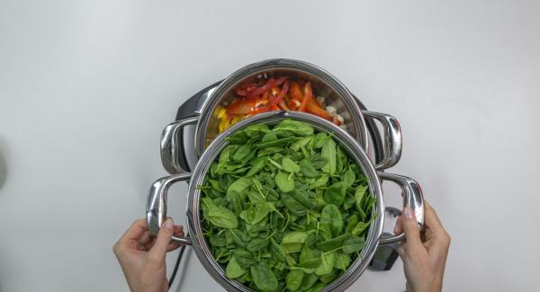 Place spinach in a combi sieve insert, place on pot and place the EasyQuick with 24 cm sealing ring on top.