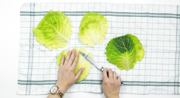 Drain the savoy cabbage leaves on a clean dishcloth, cut flat the hard ridges in the middle and place filling on it.