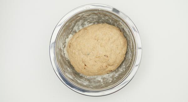 Put ready mix in a bowl and prepare together with the starter a smooth yeast dough, cover and and let it rest in a warm place until it has clearly risen.