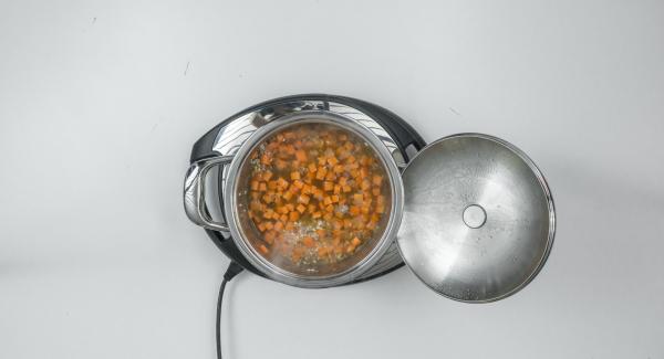Add carrots, fill up with vegetable broth and stir well. Put on Secuquick softline and close. Switch Navigenio to "A", select time setting "P" (= 20 seconds) on the Audiotherm, place on Visiotherm and turn until the soft symbol appears.