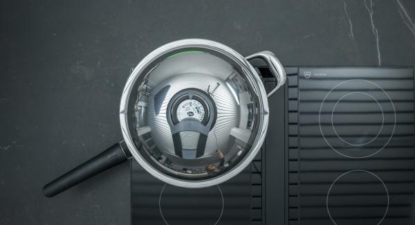 Put the HotPan on the hob and switch it to the highest level. Switch on Audiotherm, fit it on Visiotherm and turn until the roasting symbol appears. Put the HotPan on the hob and switch it to the highest level. Switch on Audiotherm, fit it on Visiotherm and turn until the roasting symbol appears.